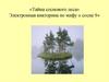 Тайна соснового леса. Электронная викторина по мифу о сосне
