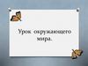 Урок окружающего мира