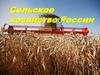 Сельское хозяйство России