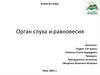 Орган слуха и равновесия