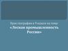 Лесная промышленность России. 9 класс