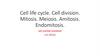 Cell life cycle. Cell division. Mitosis. Meiosis. Amitosis. Endomitosis