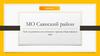 МО Саянский район. Кейс по развитию экологического туризма в Красноярском крае