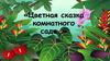 Цветная сказка комнатного сада