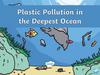 Plastic Pollution in the Ocean