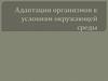 Адаптации организмов к условиям окружающей среды