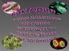 Бактерии