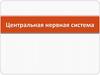 Центральная нервная система