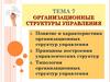 Организационные структуры управления. Тема 7