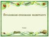 Сочинение-описание животного