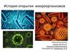 История открытия микроорганизмов