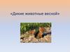 «Дикие животные весной»