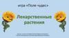 Игра «Поле чудес». Лекарственные растения