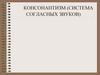 Консонантизм (система согласных звуков)