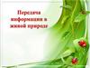 Передача информации в живой природе