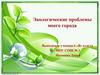 Экологические проблемы моего города
