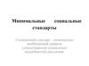 Минимальные социальные стандарты