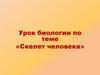 Скелет человека. 8 класс