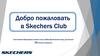 Клубная программа Skechers