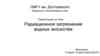 Радиационное загрязнение водных экосистем