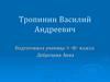 Василий Андреевич Тропинин