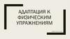 Адаптация к физическим упражнениям