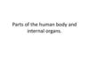 Parts of the human body and internal organs