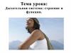 Дыхательная система человекка: строение и функции