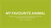 My Favourite Animal