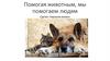 Помогая животным, мы помогаем людям