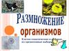 Размножение. Клетки соматические и половые, их хромосомные наборы