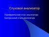 Слуховой анализатор. Периферический отдел анализатора. Центральный отдел анализатора