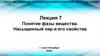 Понятие фазы вещества. Насыщенный пар и его свойства. Лекция 7