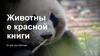 Животные красной книги