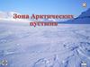 Зона Арктических пустынь
