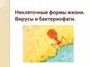 Неклеточные формы жизни. Вирусы и бактериофаги