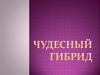 Чудесный гибрид