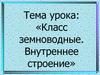 Внутреннее строение земноводных
