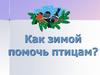 Как зимой помочь птицам?