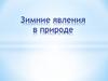 Зимние явления в природе