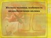 Жилище человека, особенности жизнеобеспечения жилища. Правила пожарной безопасности