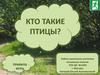Кто такие птицы?