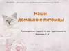 Наши домашние питомцы