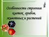 Особенности строения клеток грибов, животных и растений