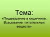 Пищеварение в кишечнике. Всасывание питательных веществ