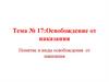 Освобождение от наказания. Понятие и виды освобождения от наказания