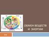 Обмен веществ и энергии