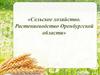 Сельское хозяйство. Растениеводство Оренбургской области
