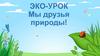 Эко-урок "Мы друзья природы"