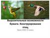 Выразительные возможности бумаги. Конструирование птиц